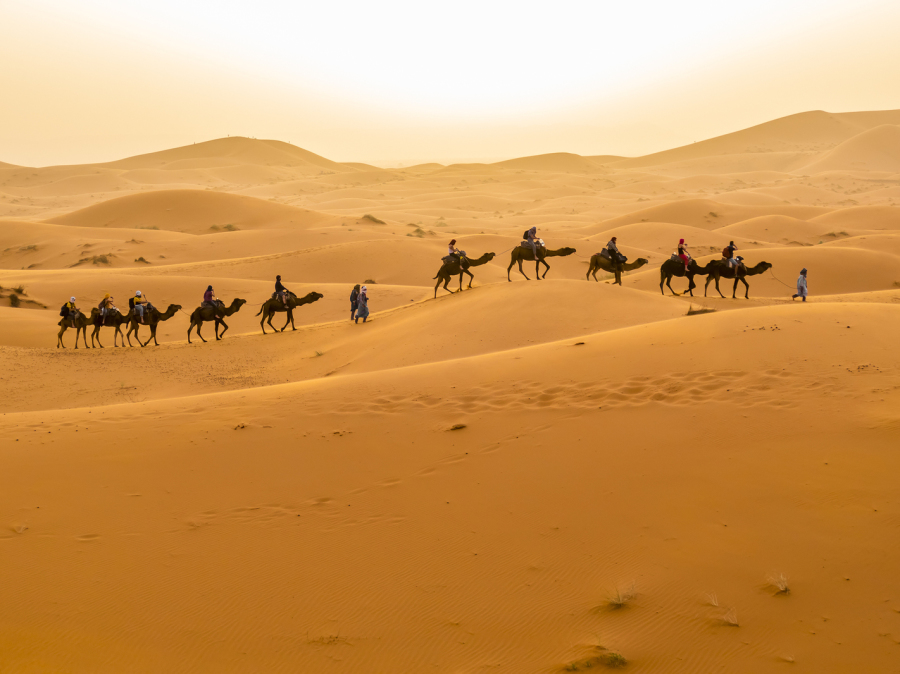 wüste und kamel karavan