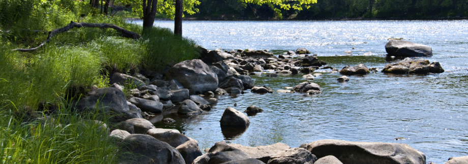 am Fluss